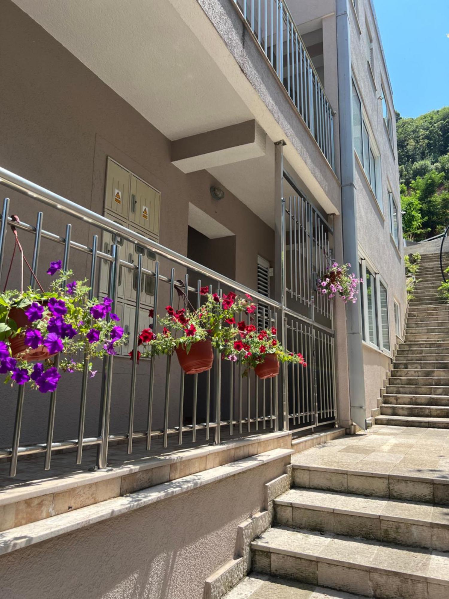 Guest House Mrvaljevic 布德瓦 外观 照片